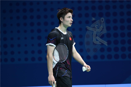 的专业性和 的专业性和