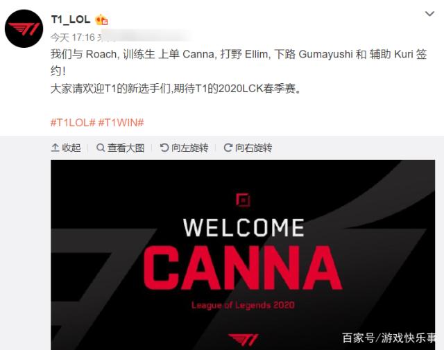 可能顶替劳 可能顶替劳